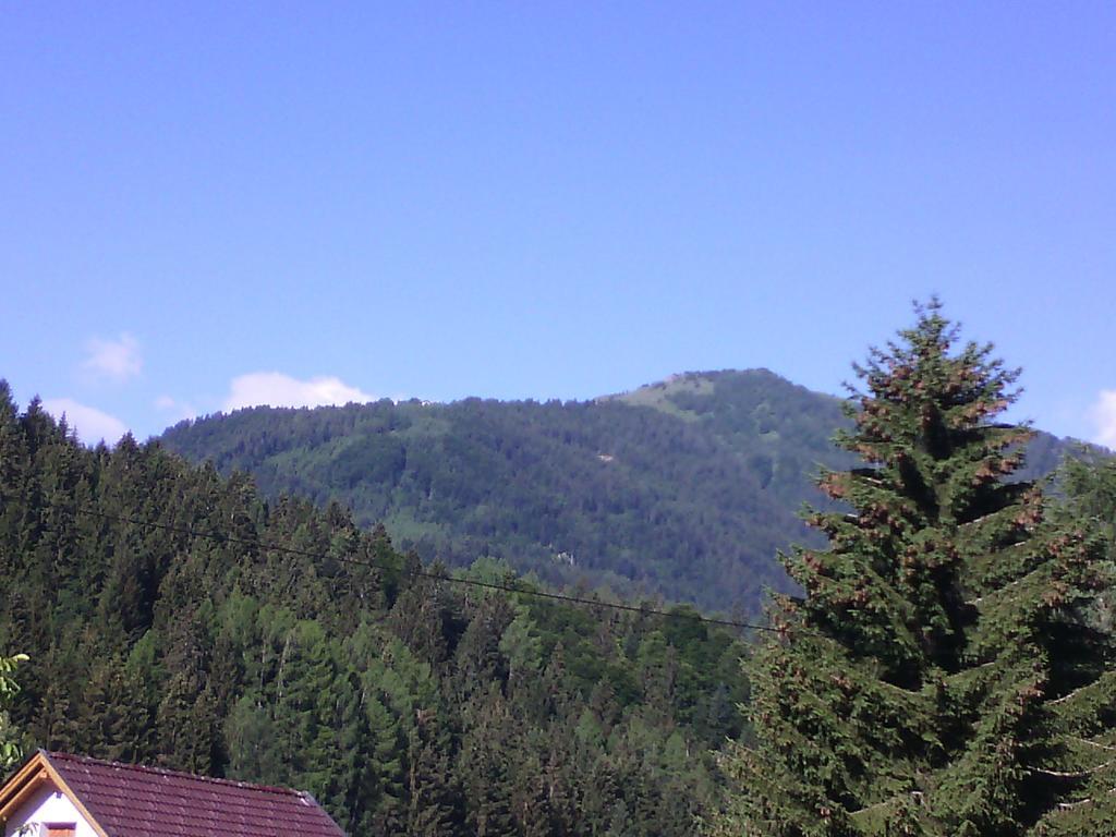 Zankl Apartamento